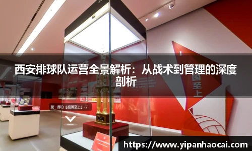 西安排球队运营全景解析：从战术到管理的深度剖析